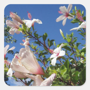 Autocolantes do Hibiscus