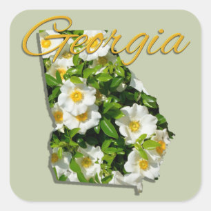 Autocolantes - GEÓRGIA