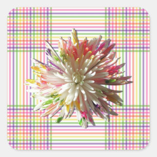 Autocolantes - Mãe Pintada de Aranha na Grade