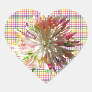 Autocolantes - Mãe Pintada de Aranha nas Verificaç