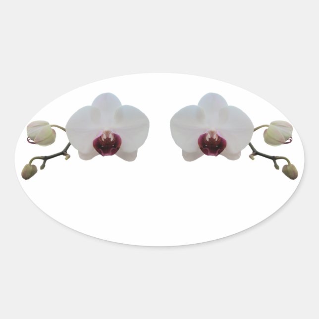 Autocolantes - Orquídea Branca Borrada (Frente)