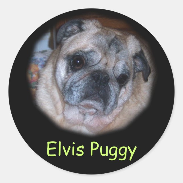 Autocolantes personalizados de fotos (Frente)