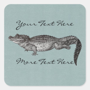 Autocolantes quadrados crocodilo
