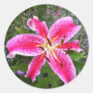 Autocolantes redondos - Stargazer Lily