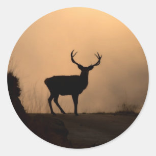 Autocolantes vermelhos solitários