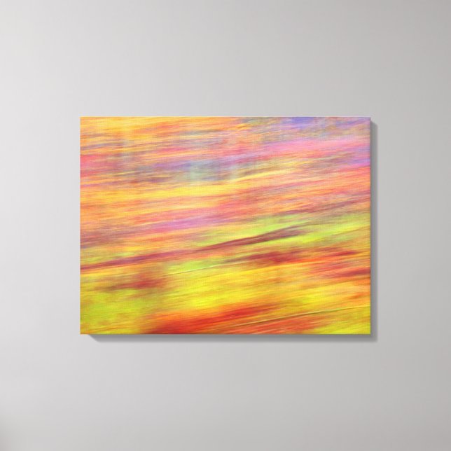 Autumn Abstract Canvas Print (Frente)