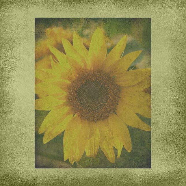 Autumn Aura Sunflower Scrapbook Paper (Criador carregado)