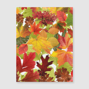 Autumn Fall Deixa Cartão Magnético