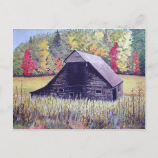 Autumn Field - cartão postal