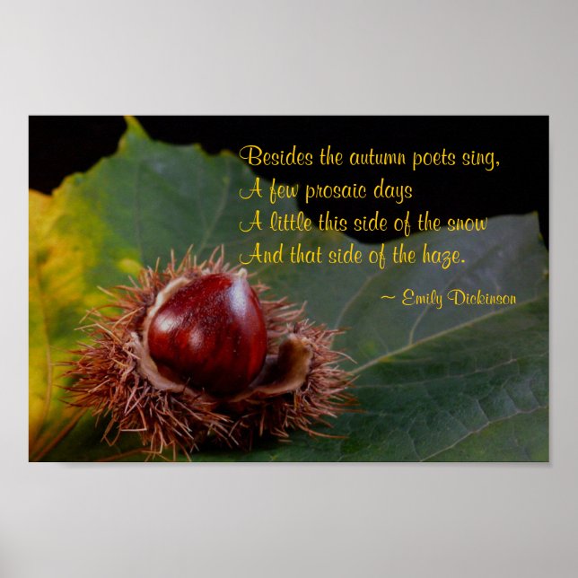 Autumn Leaf Com Nut & Emily Dickinson Poem Poster (Frente)
