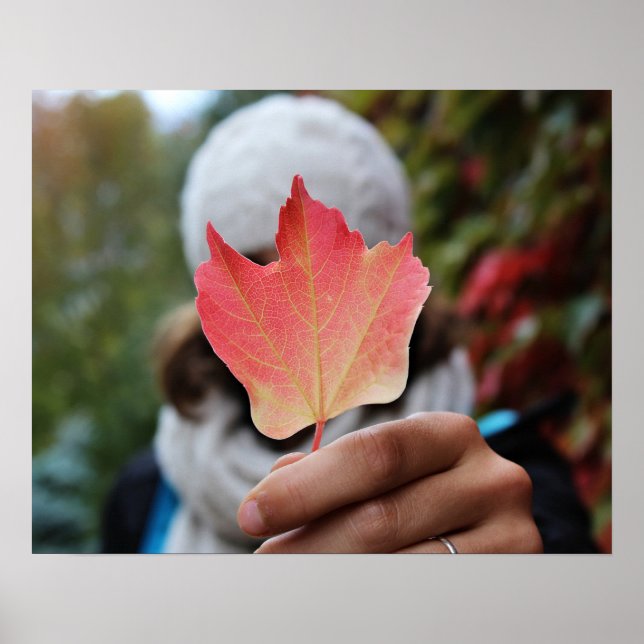 Autumn Leaf poster (Frente)
