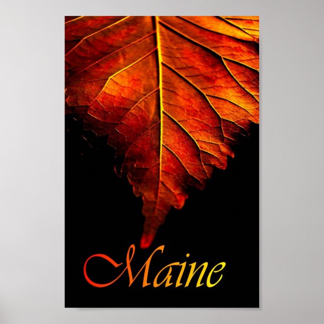 Autumn Leaf Poster | Fall Leaf Poster (Frente)