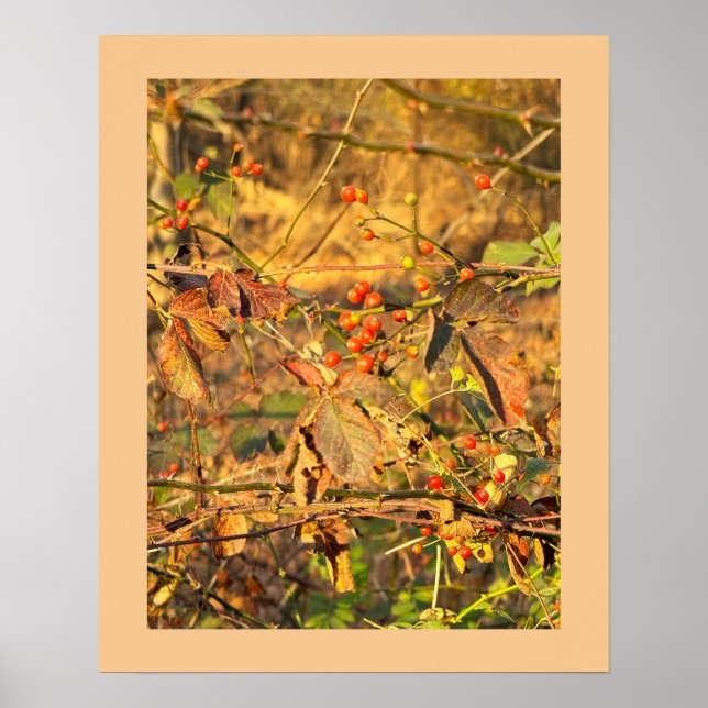 Autumn Leaves e Berries Poster (Frente)