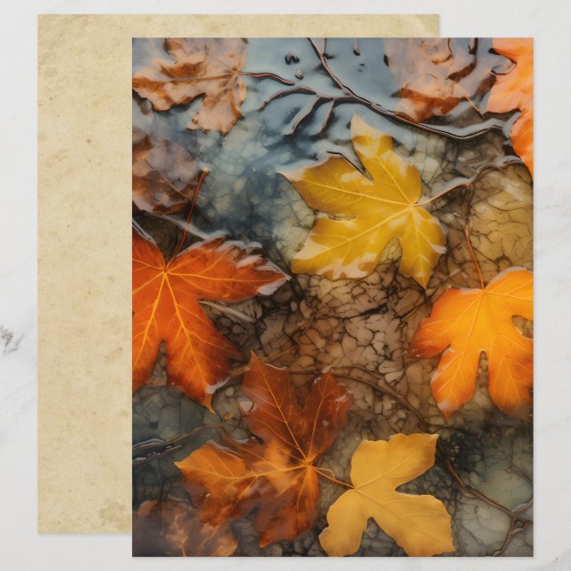 Autumn Leaves em Rain Scrapbook Paper (Frente/Verso)