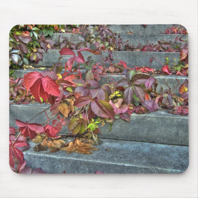 Autumn leaves mousepad (Frente)