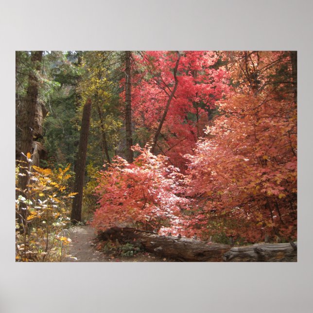 Autumn Majestade (3) Poster (Frente)