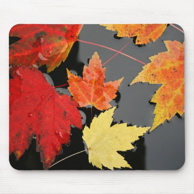 Autumn Maple Deixa cores vermelho lagoa Mousepad (Frente)