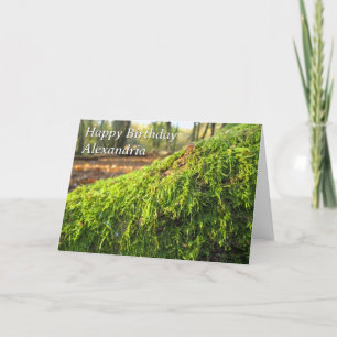 Autumn Moss em Sunshine - Cartão de Aniversário Pe