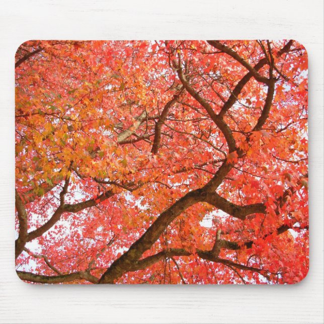 Autumn Mousepad Bonitos Presentes de Paisagem do o (Frente)