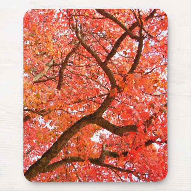 Autumn Mousepad Bonitos Presentes de Paisagem do o (Frente)
