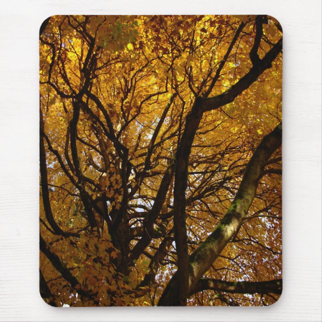 Autumn Mousepad Bonitos Presentes de Paisagem do o (Frente)