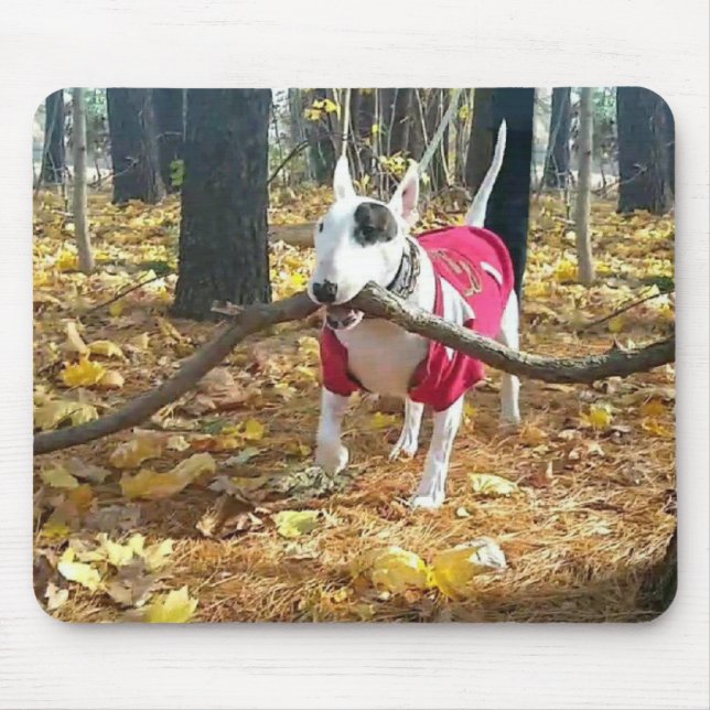 Autumn Rex mousepad (Frente)