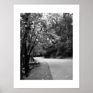 Autumn Road deixa Yosemite Poster - Preto e Branco
