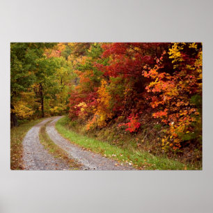 Autumn Road Impressão