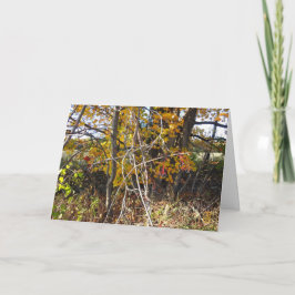 Autumn Vine Tangle & Berries Cartão "Ahh"