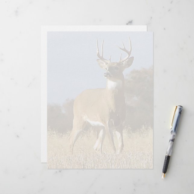 Autumn Whitetail Buck (Frente/Verso In Situ)