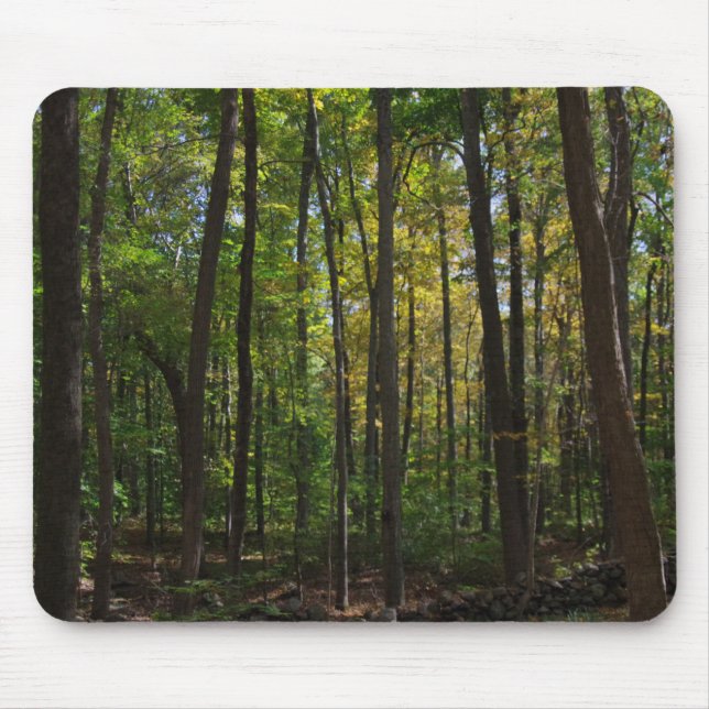 Autumn Woods Mousepad (Frente)
