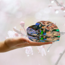 Ave de Equinox Paperweight