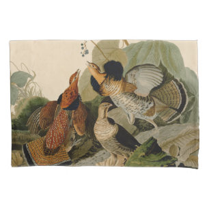 Ave de Jogo de Audubon do Agrupamento Rachado