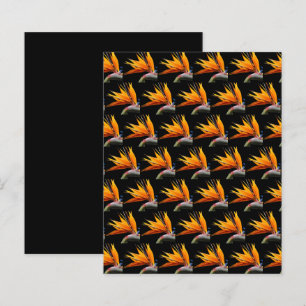Ave de Paraíso Laranja em Papel Preto para Álbum d