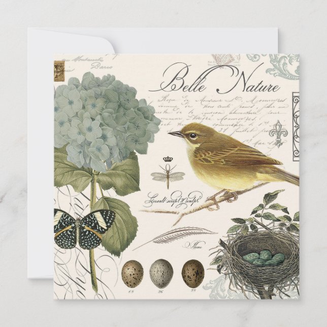 ave e ninho francês de colheita moderna (Frente)