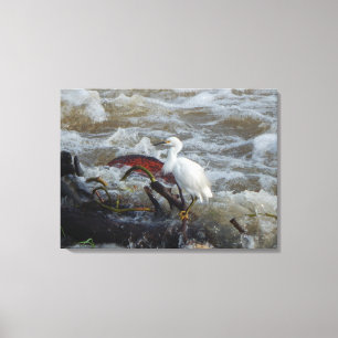AVE NA SELA Nº 1 NA CANVAS 20x 16