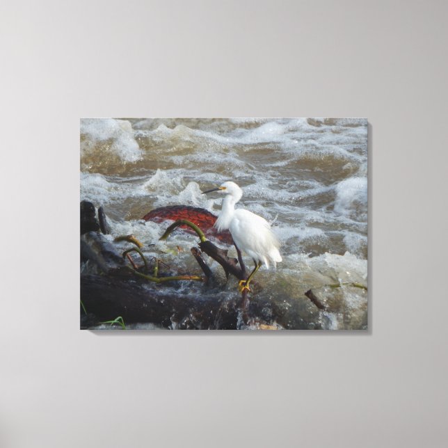 AVE NA SELA Nº 1 NA CANVAS 20x 16 (Frente)