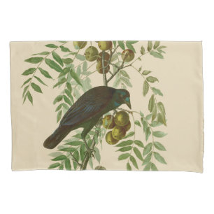 Ave Negra Americana da Audubon