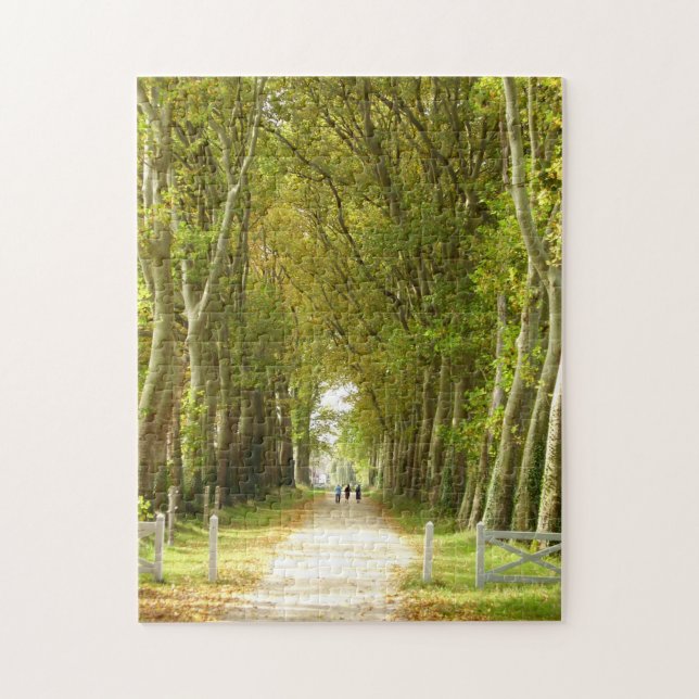 Avenida das Árvores Foto Quebra-cabeça com Caixa d (Vertical)