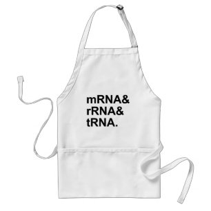 Avental ARNr mRNA  Tipos de ARN