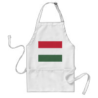 Bandeira da Hungria