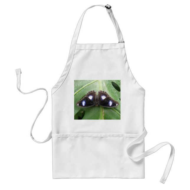 Avental Bela Borboleta Azul Apron (Frente)