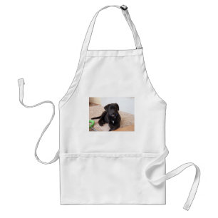 Avental Black Labrador Retriever Puppy