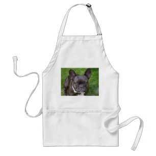 Avental Buldogue Francês