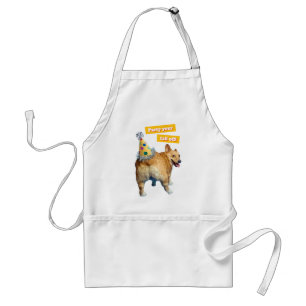Avental Chapéu de Aniversário Bumbum de Corgi