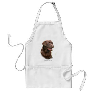 Avental Chocolate labrador retriever