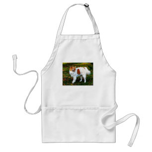 Avental Collie no Lawn