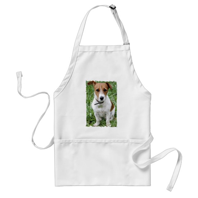 Avental de Jack Russell Terrier (Frente)