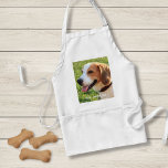 Avental Foto personalizada do cão beagle e nome do cão<br><div class="desc">Design de Foto Personalizada de Cachorro e Nome de Cachorro - personalize esta manutenção com uma foto carregada do seu Beagle, o nome do cão ou adicione o seu próprio texto - Adoramos o "nome do cão", o aniversário do cão ou o dia de passagem. Basta clicar em "personalizar" para...</div>