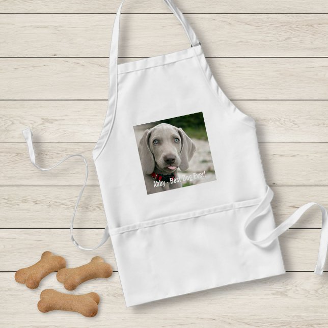 Avental Foto personalizada do cão Weimaraner e nome do cão (Criador carregado)